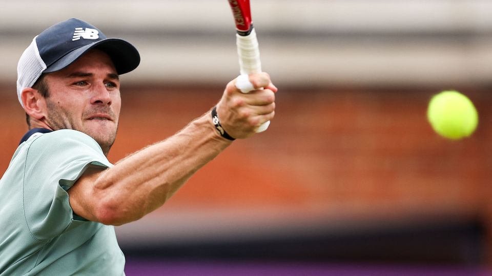 可以看到 可以看到