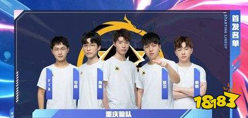 动为何涉及